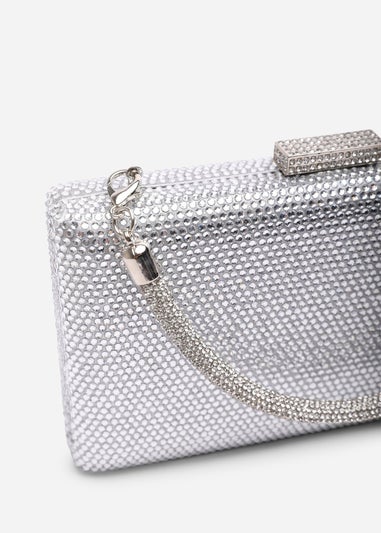 Where's That From Veil Silver Embellished Hard-Case Evening Clutch Bag