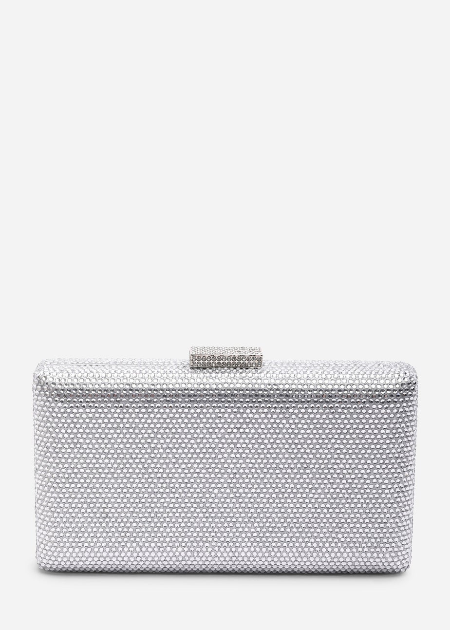Where's That From Veil Silver Embellished Hard-Case Evening Clutch Bag