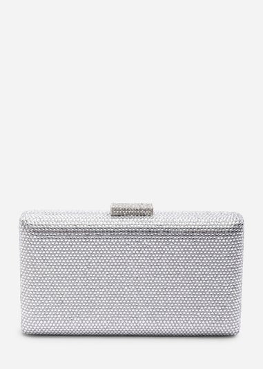 Where's That From Veil Silver Embellished Hard-Case Evening Clutch Bag