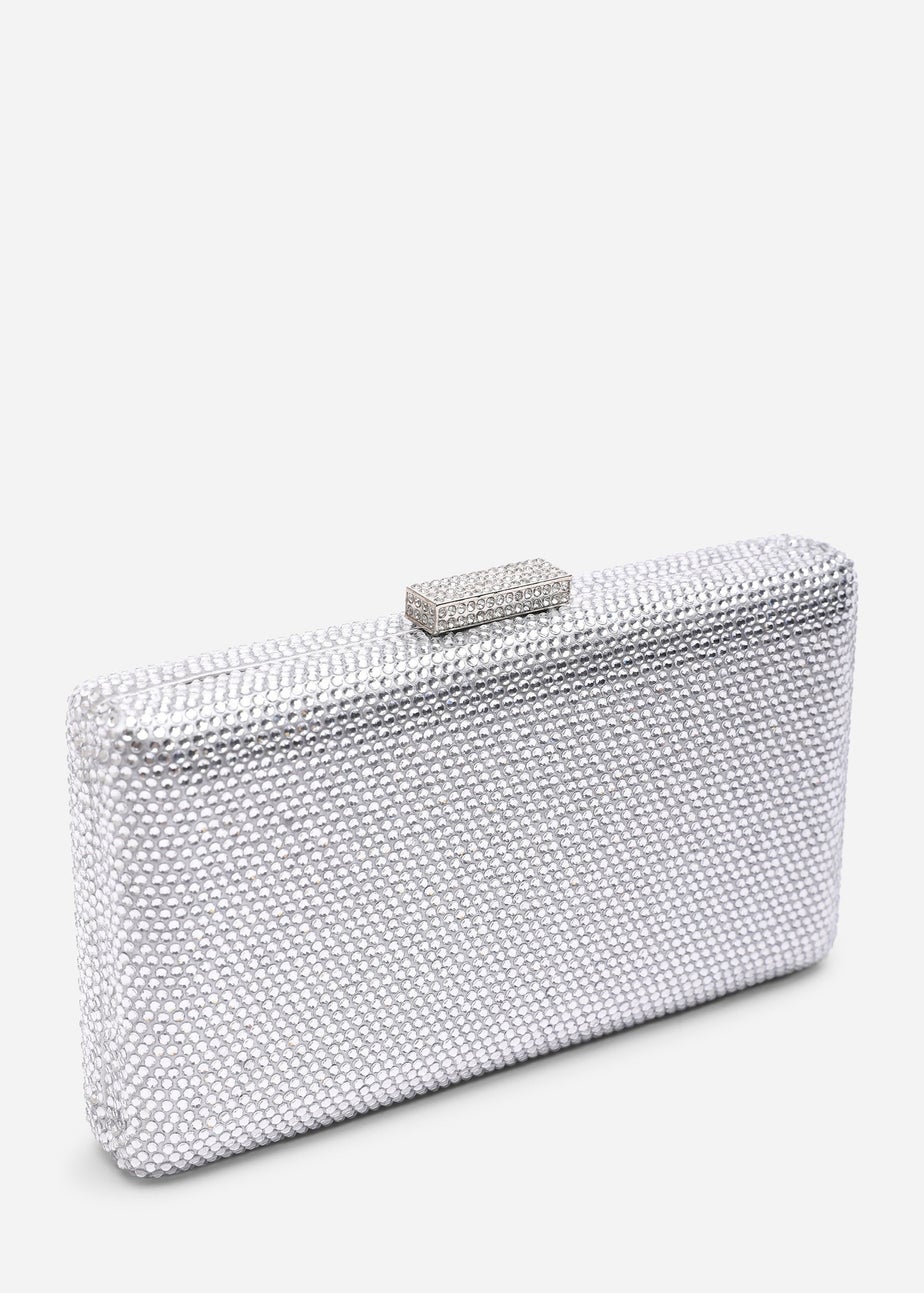 Where's That From Veil Silver Embellished Hard-Case Evening Clutch Bag