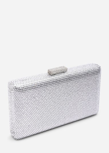 Where's That From Veil Silver Embellished Hard-Case Evening Clutch Bag