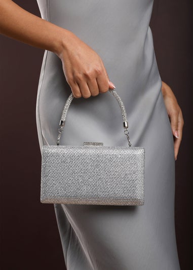 Where's That From Veil Silver Embellished Hard-Case Evening Clutch Bag