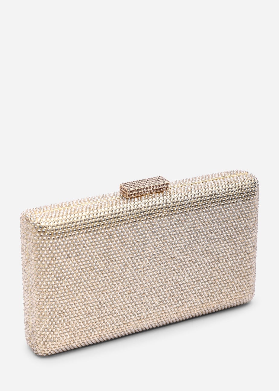 Where's That From Veil Gold Embellished Hard-Case Evening Clutch Bag