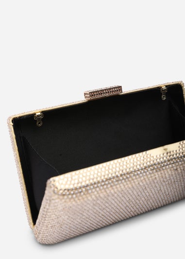 Where's That From Veil Gold Embellished Hard-Case Evening Clutch Bag