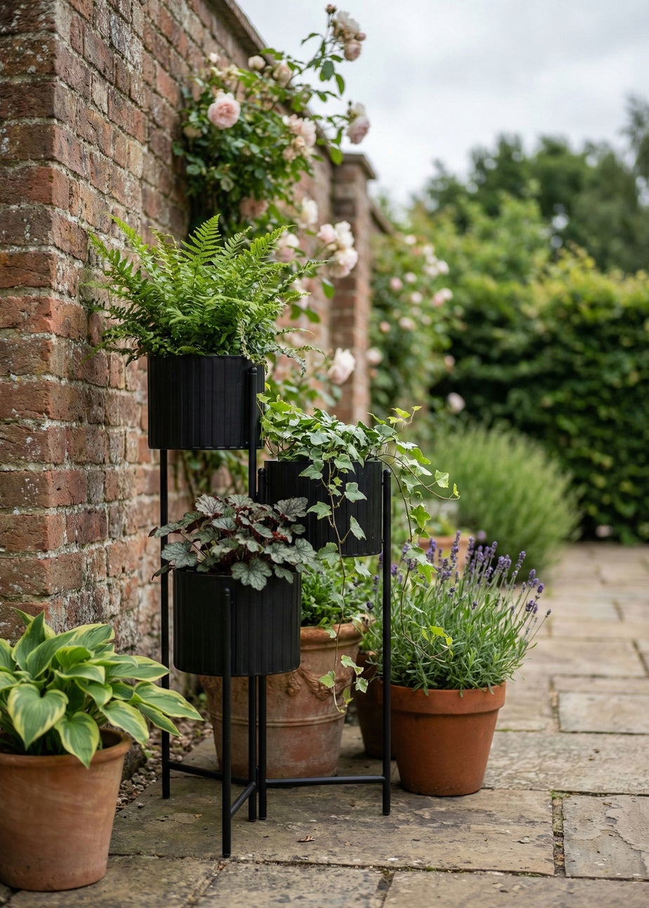 Scottish Everlastings Set of 3 Indoor/Outdoor Black Planters