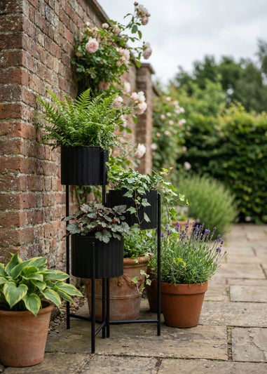 Scottish Everlastings Set of 3 Indoor/Outdoor Black Planters