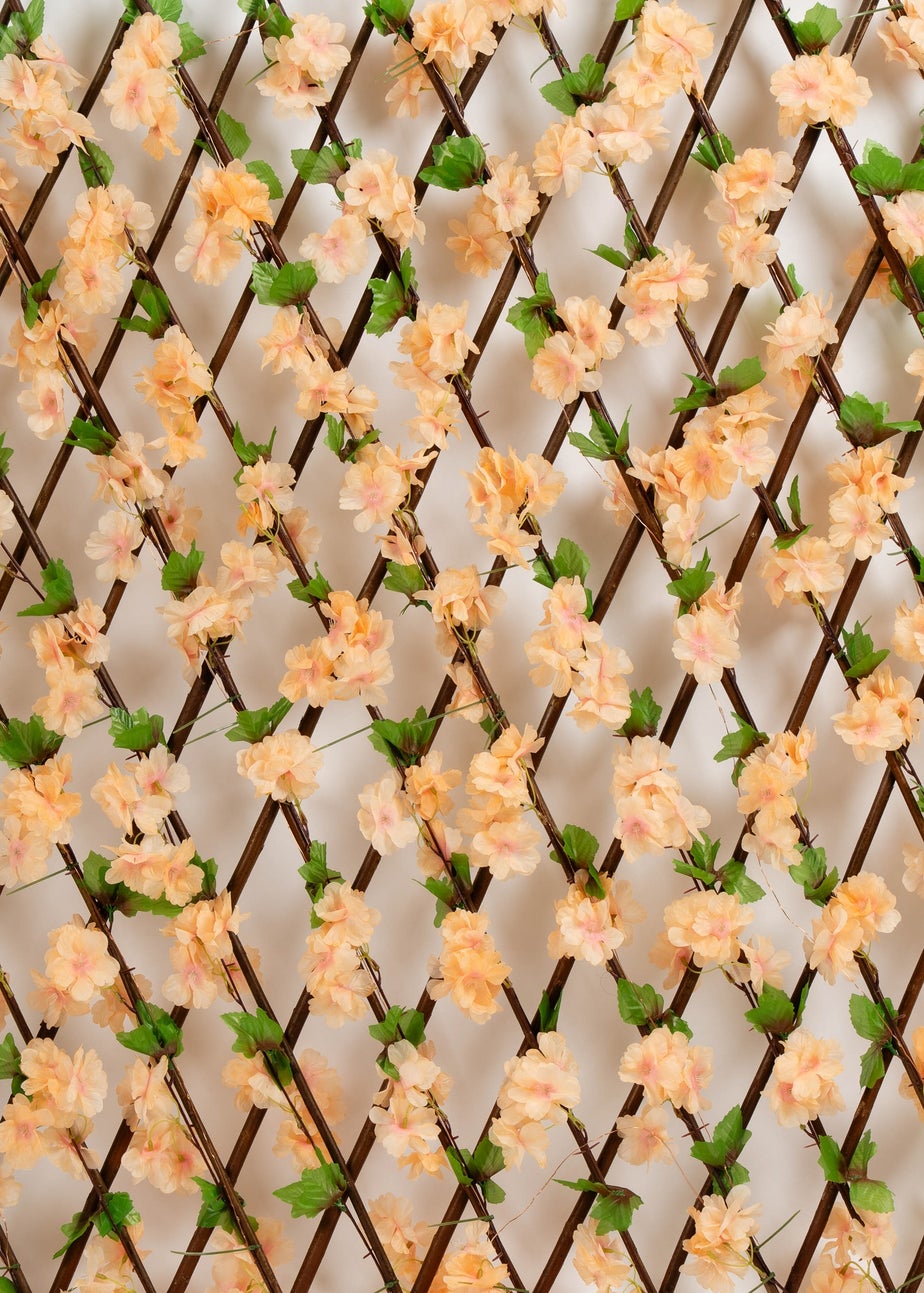 Scottish Everlastings Peach Blossom Expanding Trellis with LED Lights (170x90cm)