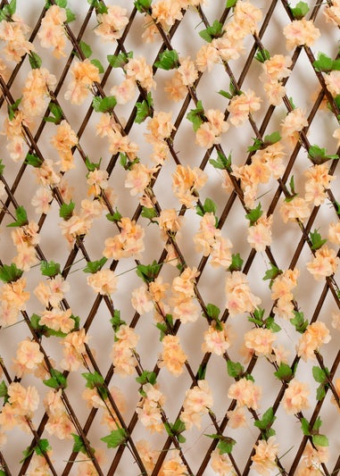 Scottish Everlastings Peach Blossom Expanding Trellis with LED Lights (170x90cm)