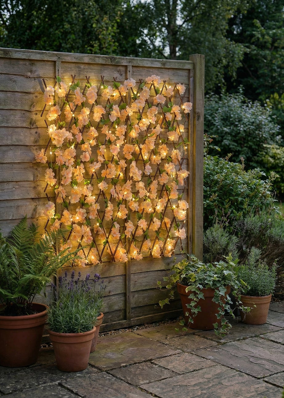 Scottish Everlastings Peach Blossom Expanding Trellis with LED Lights (170x90cm)