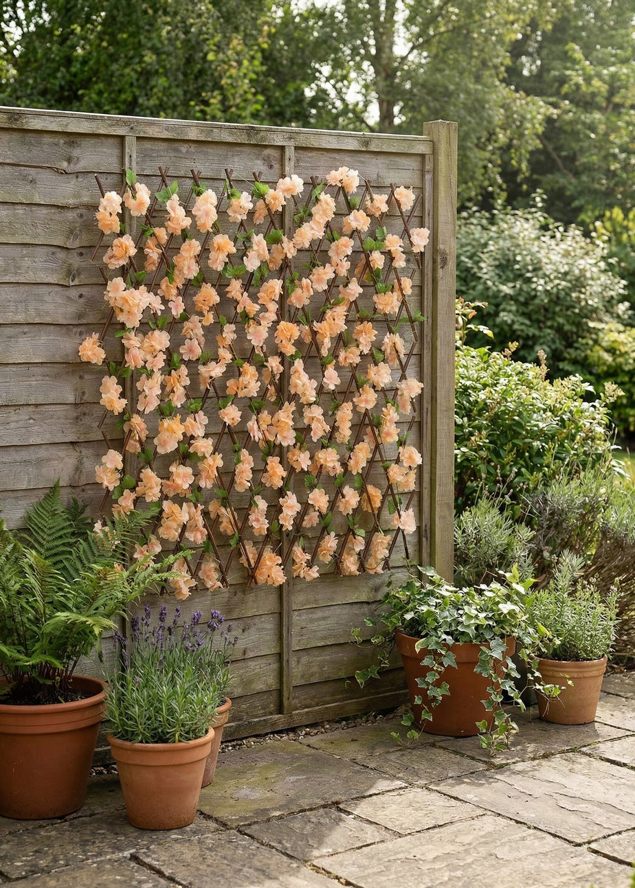 Scottish Everlastings Peach Blossom Expanding Trellis with LED Lights (170x90cm)