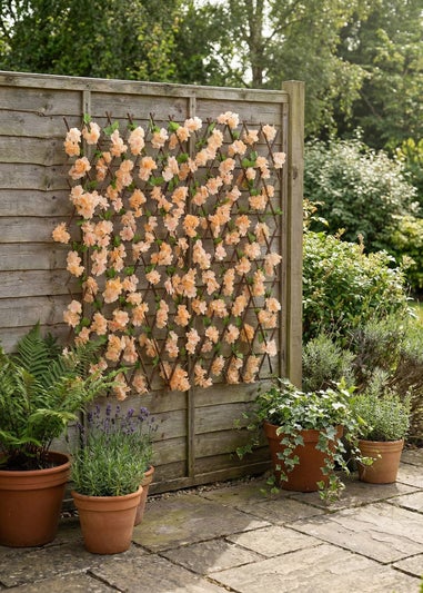 Scottish Everlastings Peach Blossom Expanding Trellis with LED Lights (170x90cm)