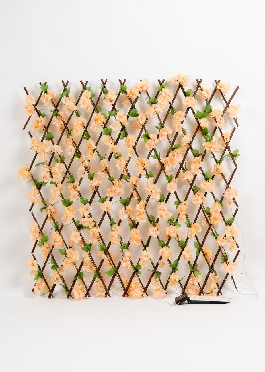 Scottish Everlastings Peach Blossom Expanding Trellis with LED Lights (170x90cm)