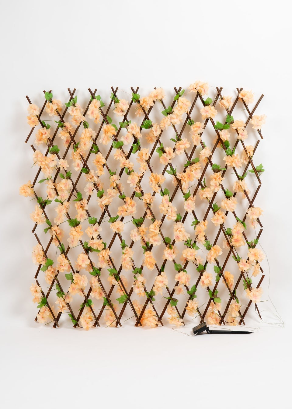 Scottish Everlastings Peach Blossom Expanding Trellis with LED Lights (170x90cm)