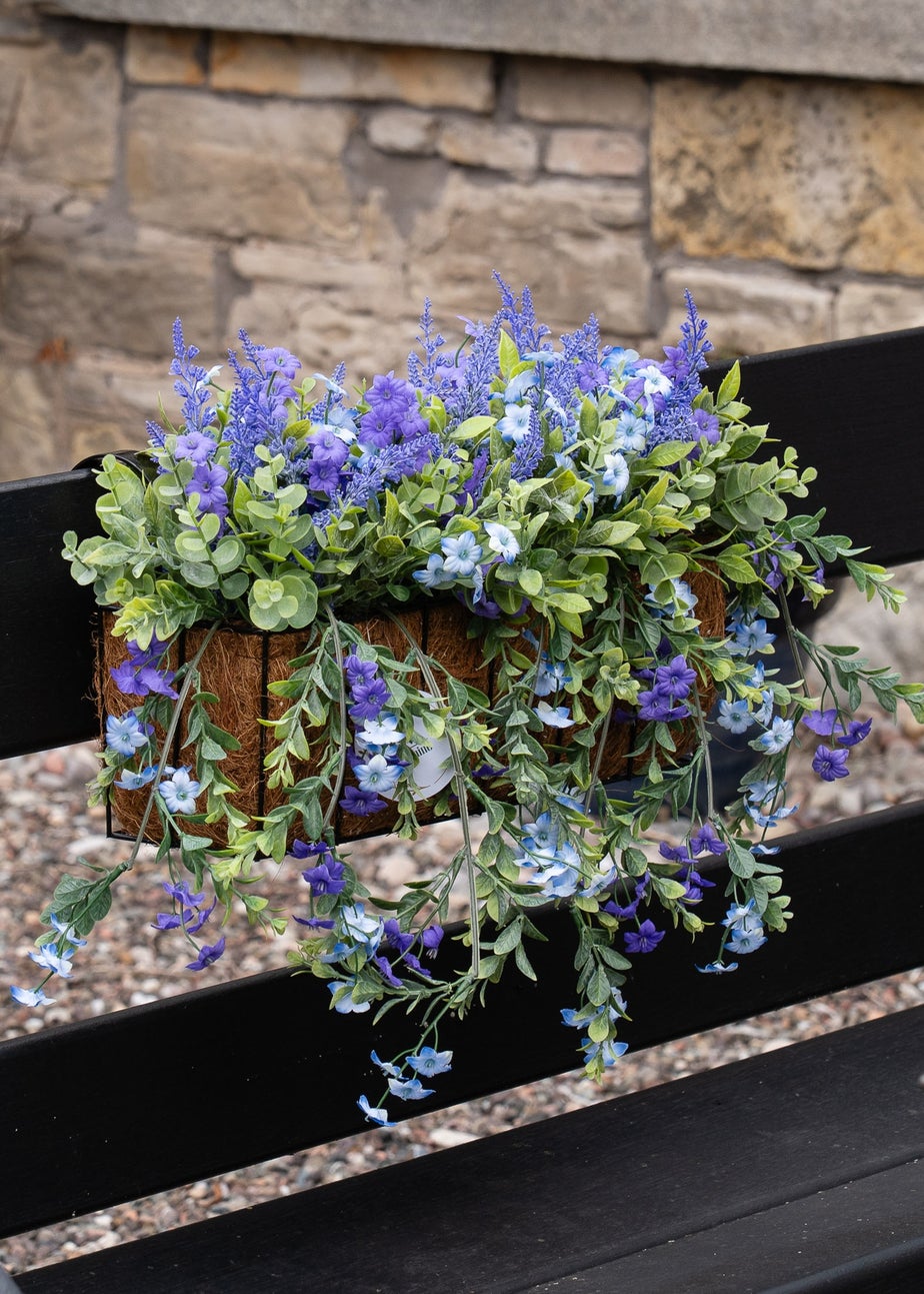 Scottish Everlastings Purple Mixed Trailing Outdoor Window Hanging Trough (55cm)