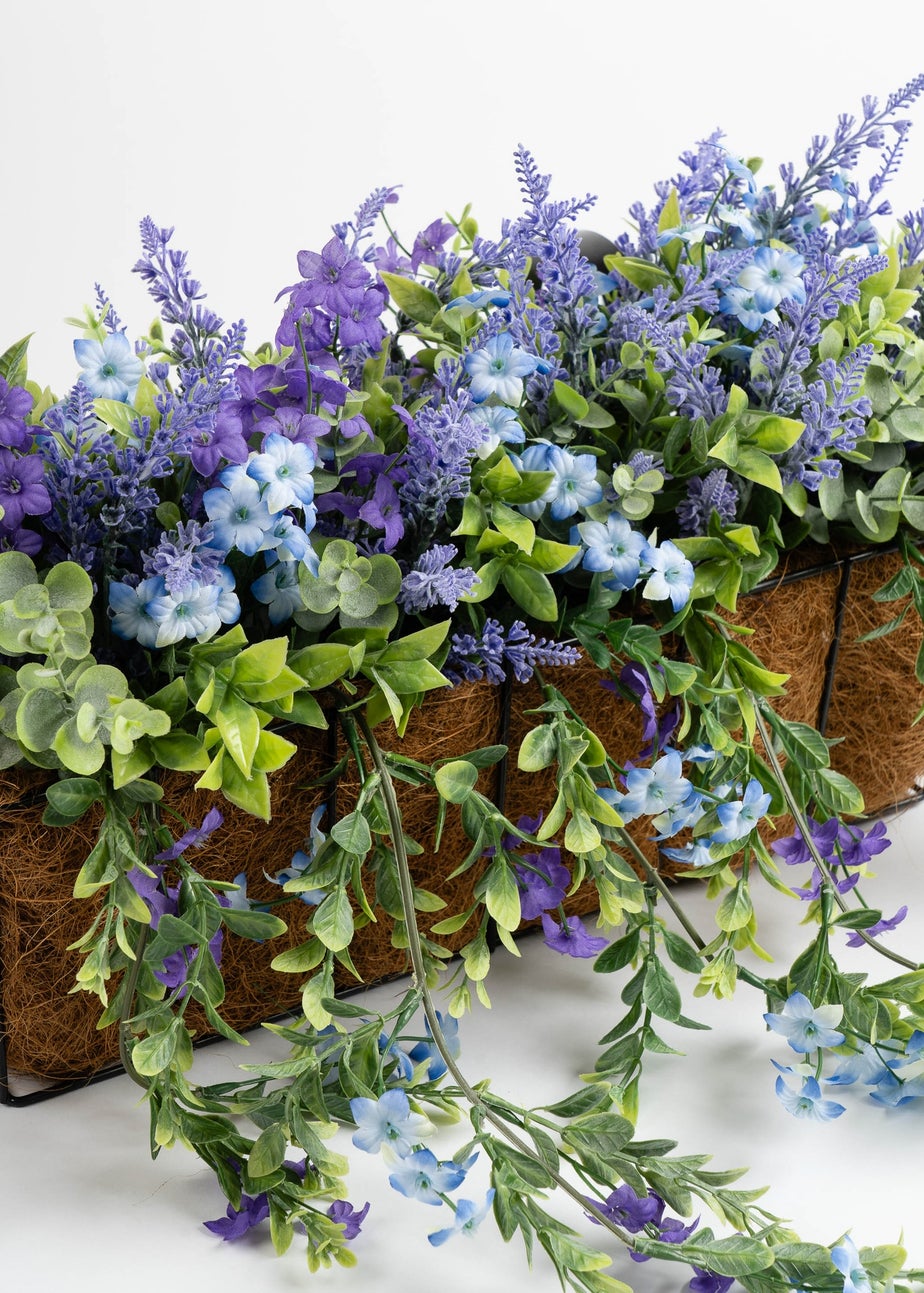 Scottish Everlastings Purple Mixed Trailing Outdoor Window Hanging Trough (55cm)