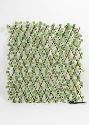 Scottish Everlastings Light Green Eucalyptus Expanding Trellis with LED Lights