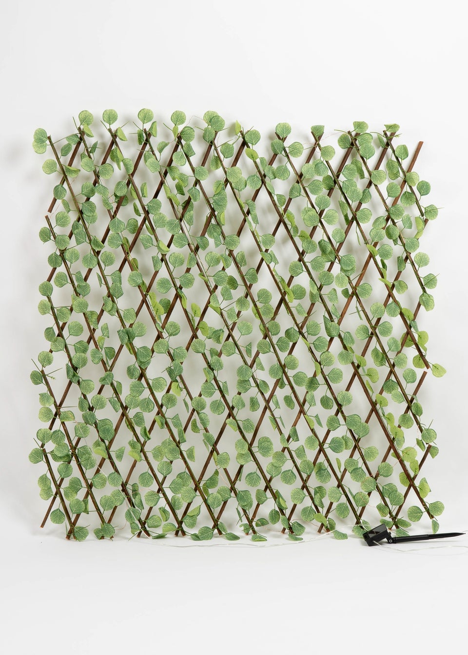 Scottish Everlastings Light Green Eucalyptus Expanding Trellis with LED Lights