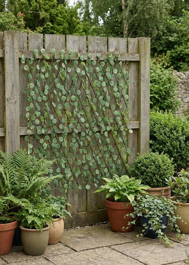 Scottish Everlastings Light Green Eucalyptus Expanding Trellis with LED Lights