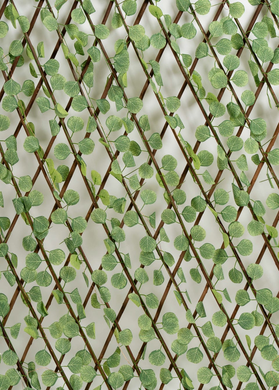 Scottish Everlastings Light Green Eucalyptus Expanding Trellis with LED Lights