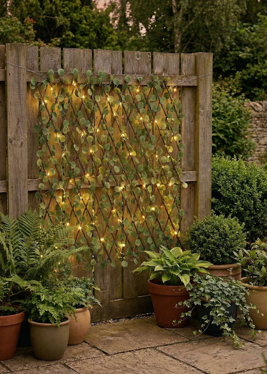 Scottish Everlastings Light Green Eucalyptus Expanding Trellis with LED Lights