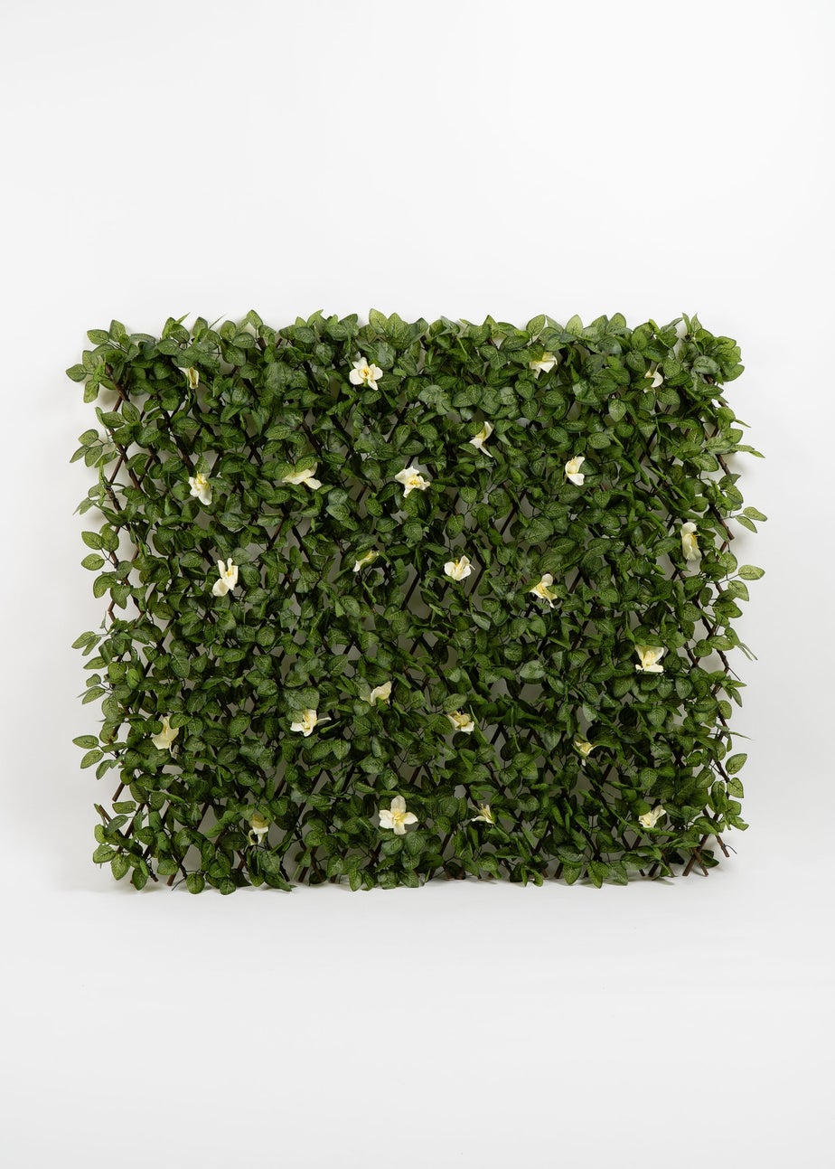 Scottish Everlastings Anti-UV White Clematis Expanding Trellis 180x90cm