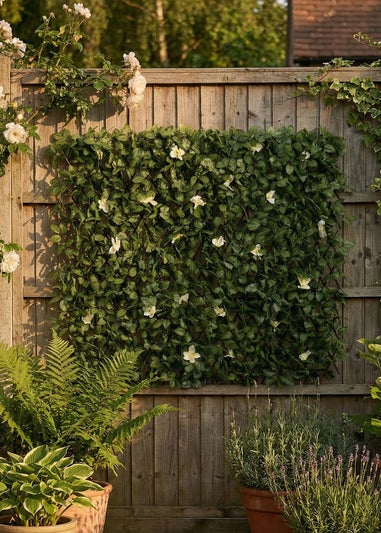 Scottish Everlastings Anti-UV White Clematis Expanding Trellis 180x90cm