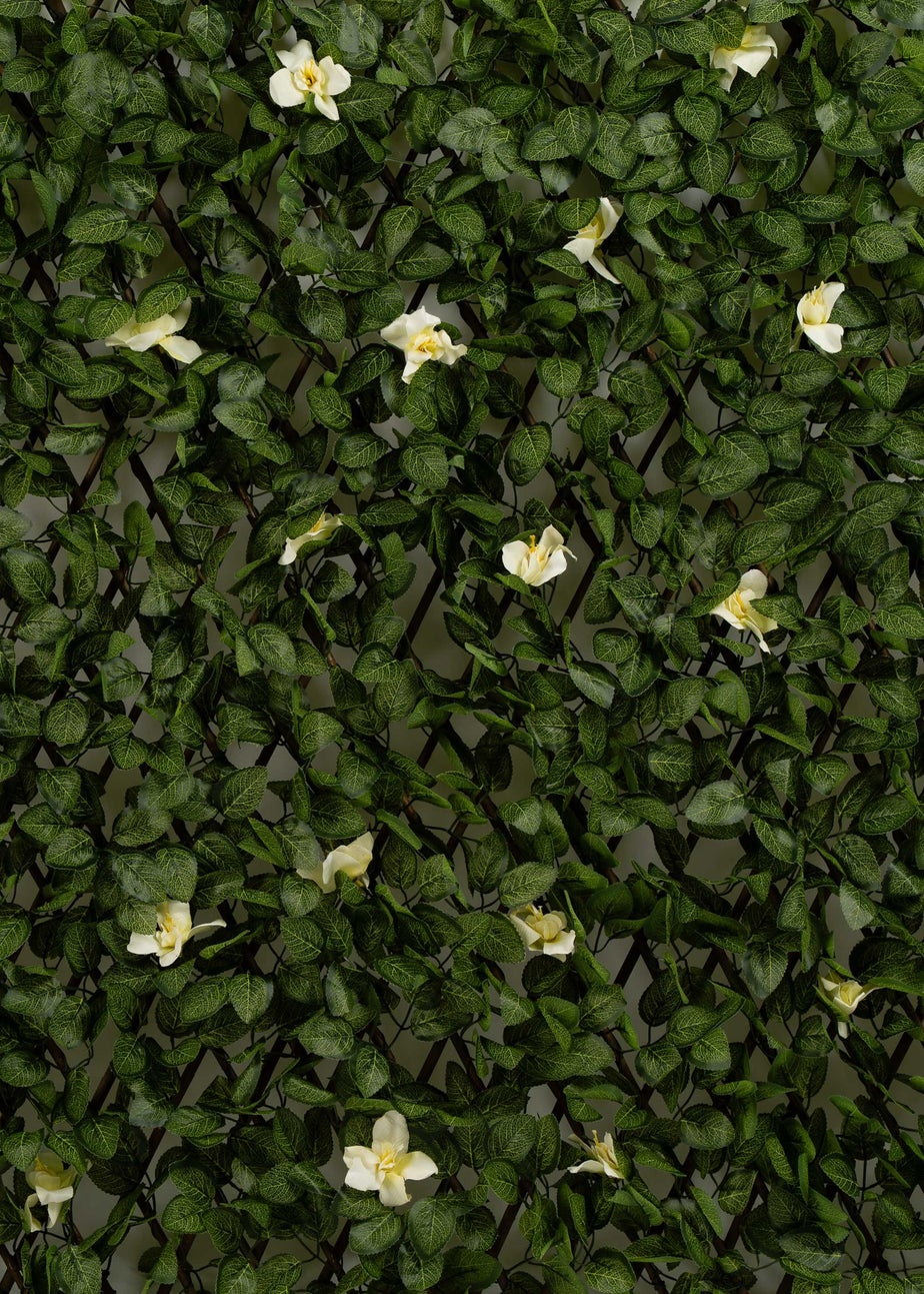 Scottish Everlastings Anti-UV White Clematis Expanding Trellis 180x90cm