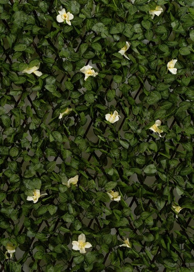 Scottish Everlastings Anti-UV White Clematis Expanding Trellis 180x90cm