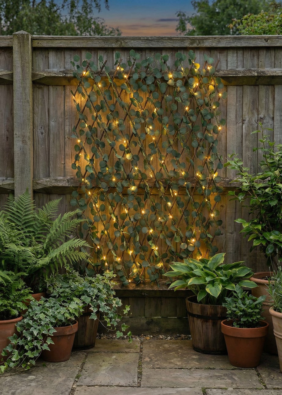 Scottish Everlastings Green Eucalyptus Expanding Trellis with LED Lights (170x90cm)