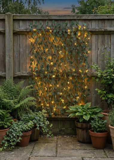 Scottish Everlastings Green Eucalyptus Expanding Trellis with LED Lights (170x90cm)