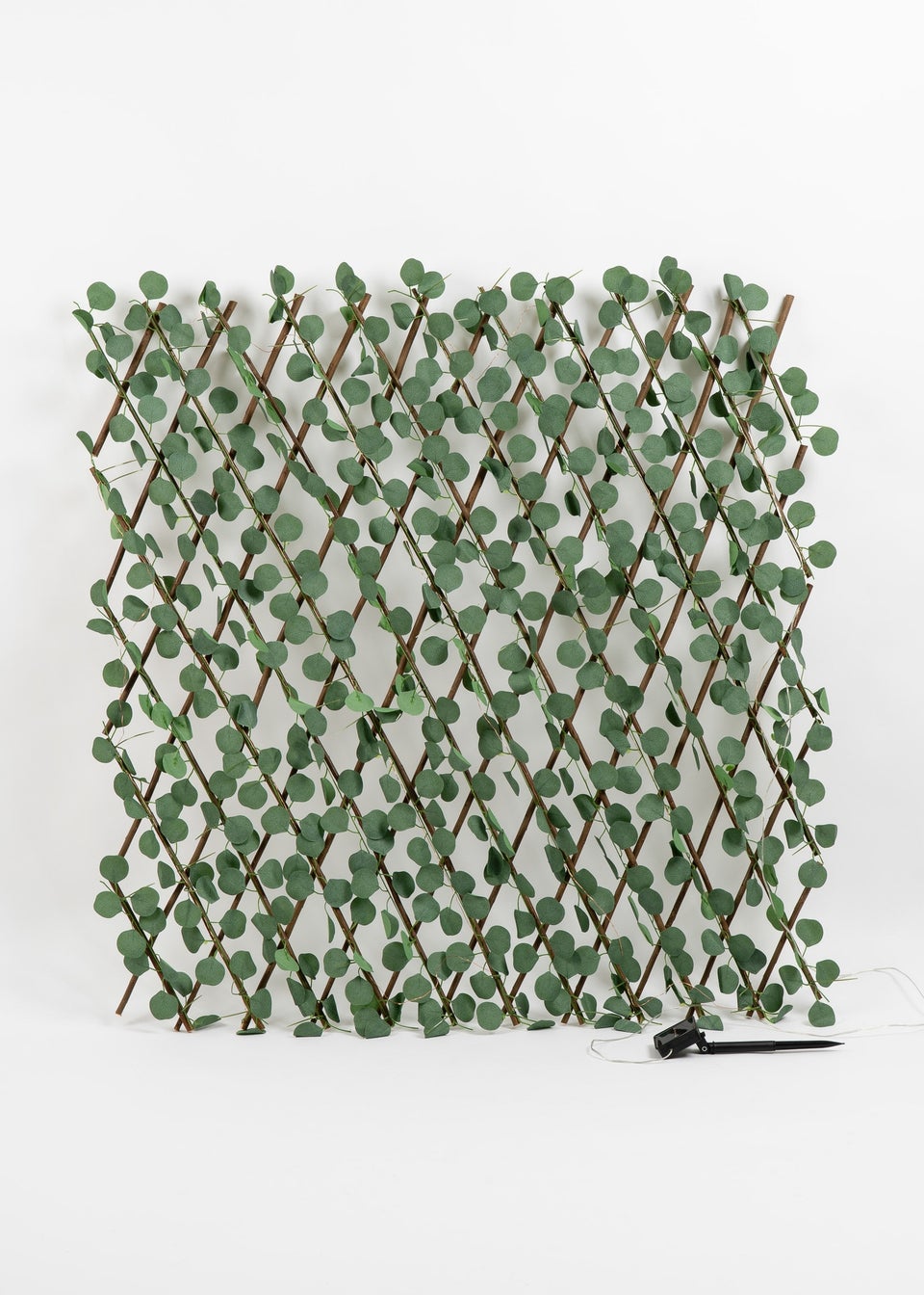 Scottish Everlastings Green Eucalyptus Expanding Trellis with LED Lights (170x90cm)