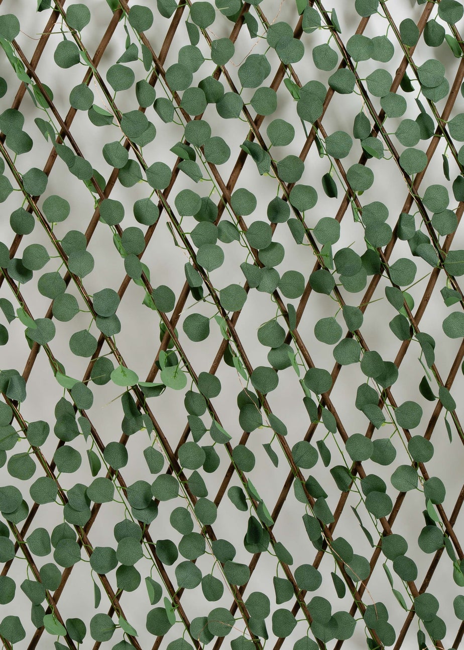 Scottish Everlastings Green Eucalyptus Expanding Trellis with LED Lights (170x90cm)