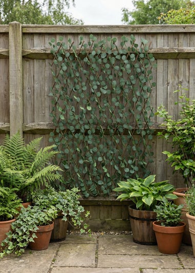 Scottish Everlastings Green Eucalyptus Expanding Trellis with LED Lights (170x90cm)