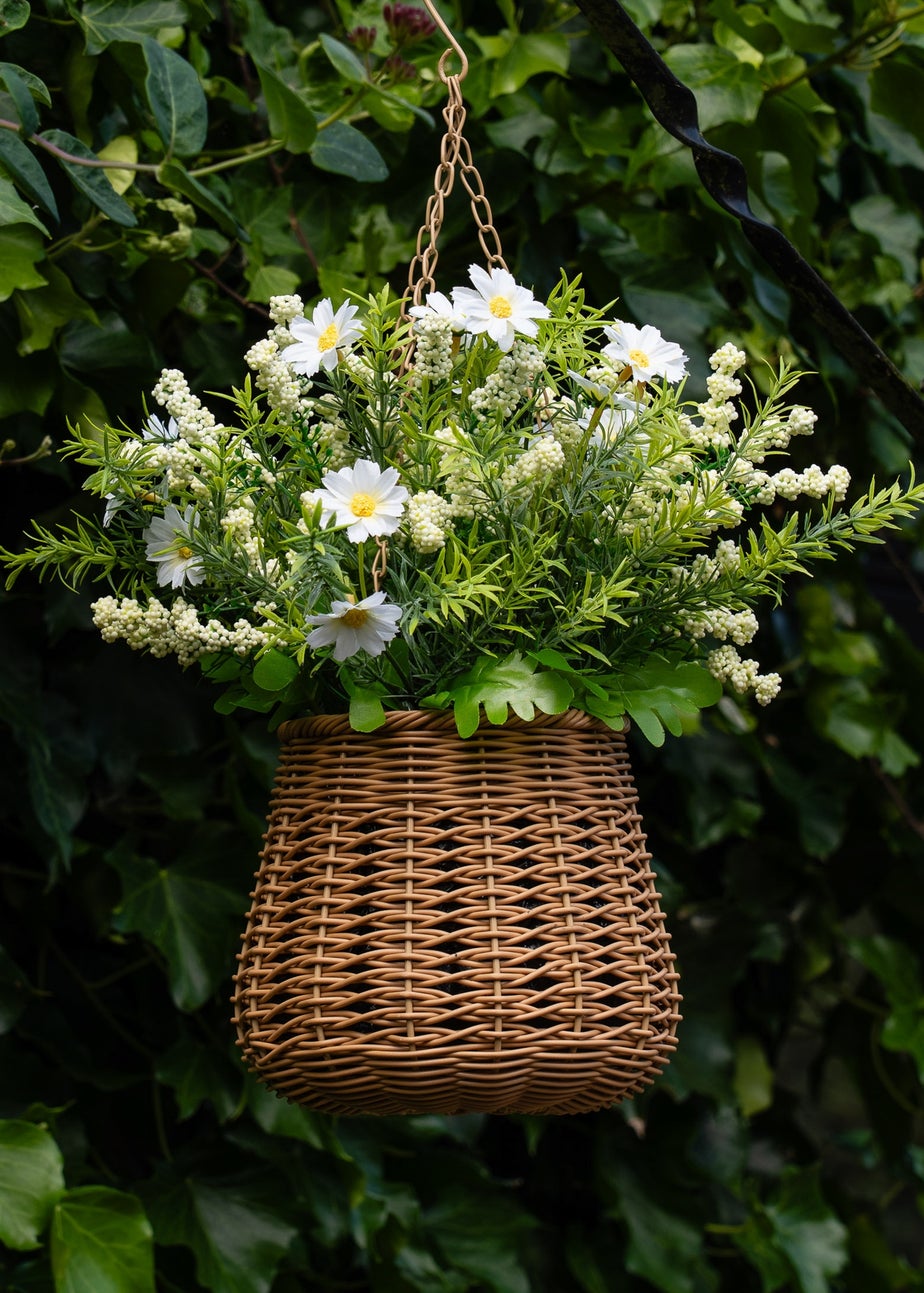 Scottish Everlastings Cream Outdoor Hanging Basket  (34cm)