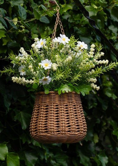 Scottish Everlastings Cream Outdoor Hanging Basket  (34cm)