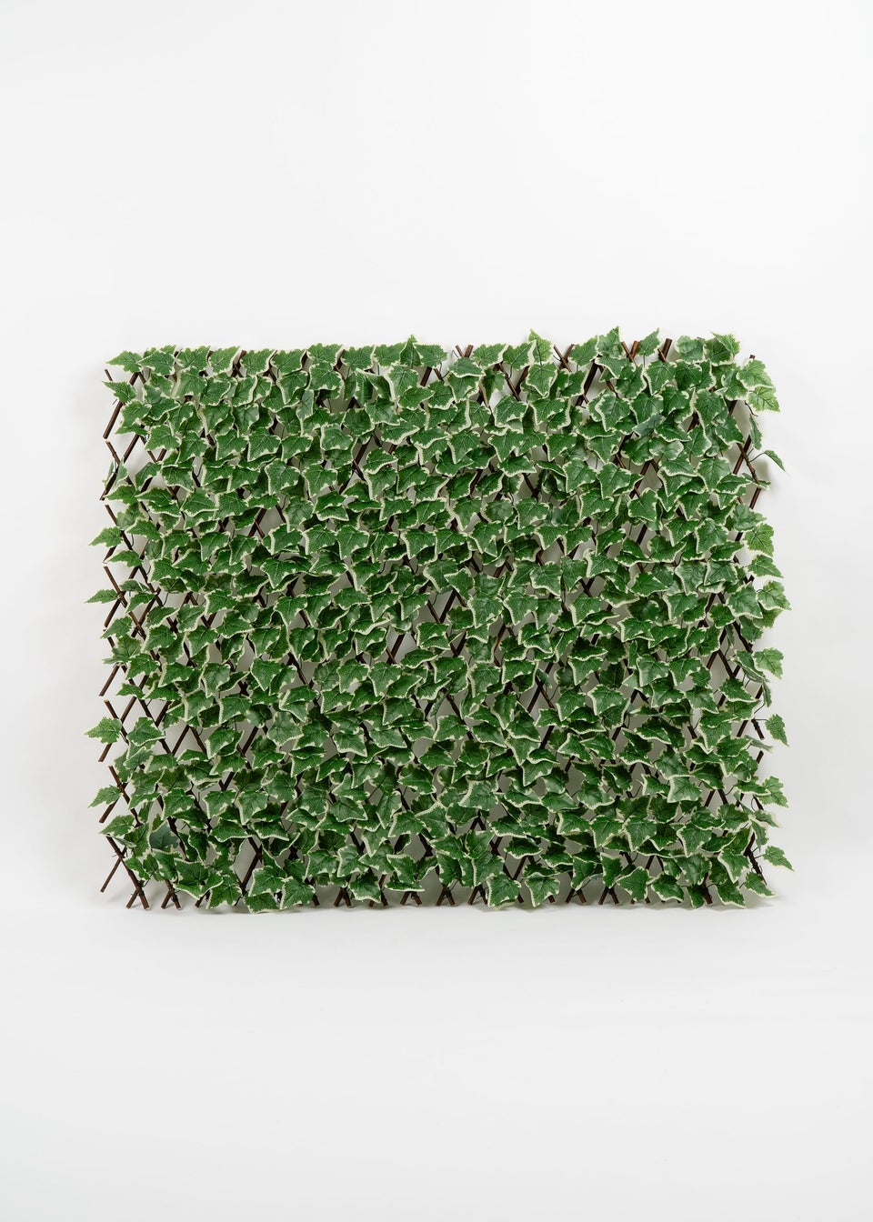 Scottish Everlastings Anti-UV Green Ivy Expanding Trellis (180x90cm)