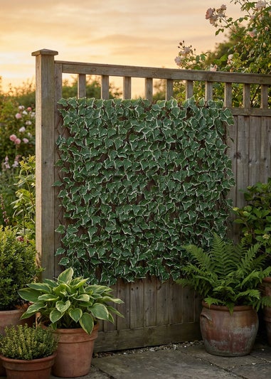 Scottish Everlastings Anti-UV Green Ivy Expanding Trellis (180x90cm)