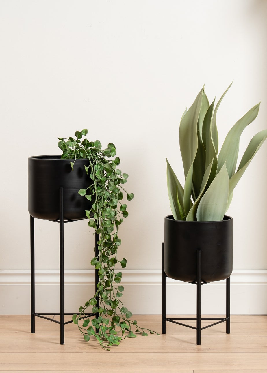 Scottish Everlastings Set of 2 Black Planters