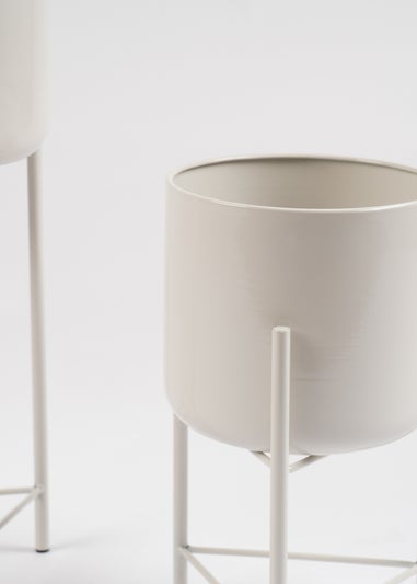 Scottish Everlastings Set of 2 Light Beige Planters