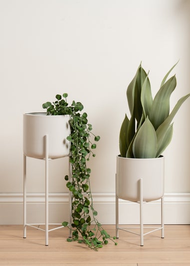 Scottish Everlastings Set of 2 Light Beige Planters