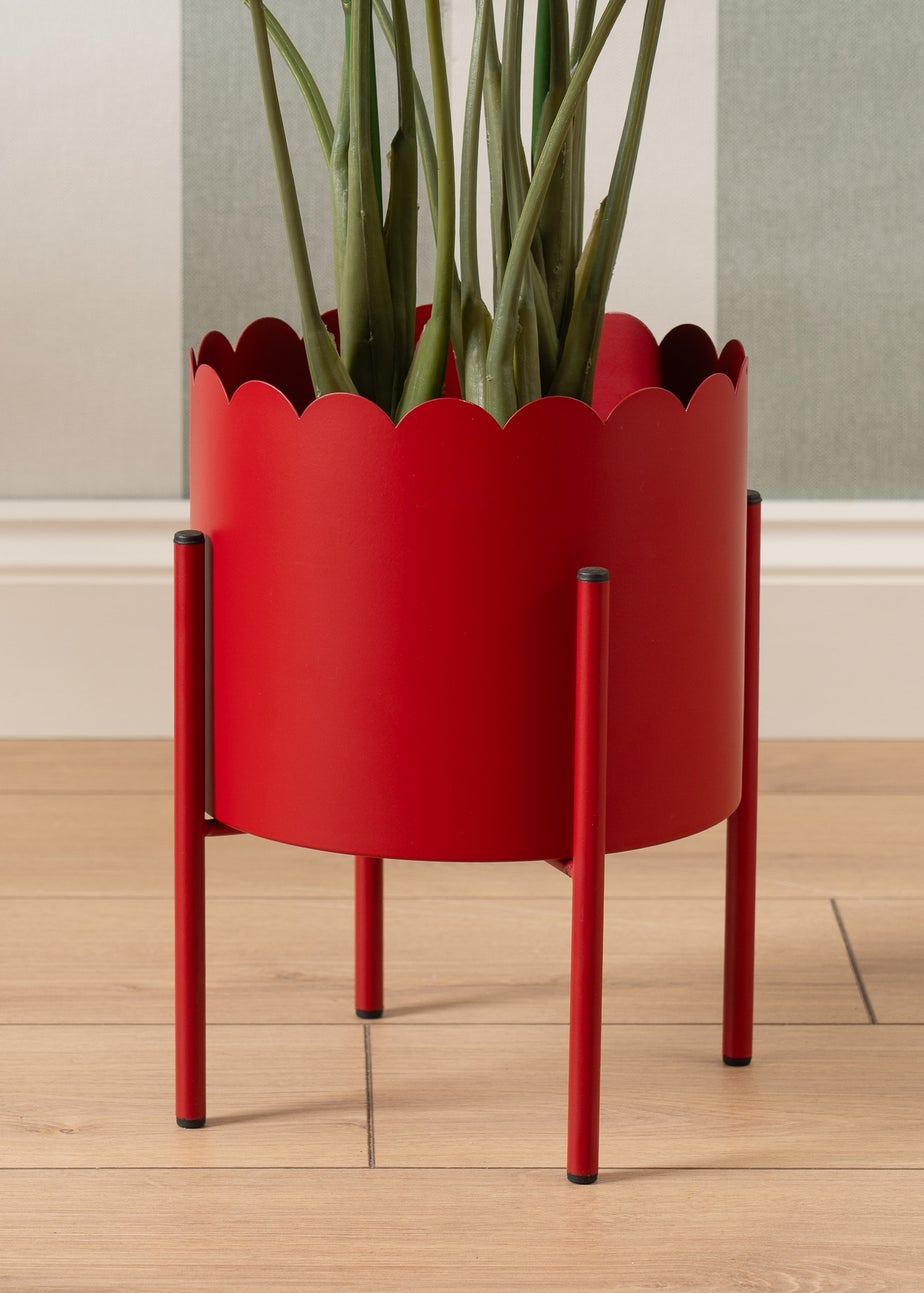 Scottish Everlastings Red Scallop Planter