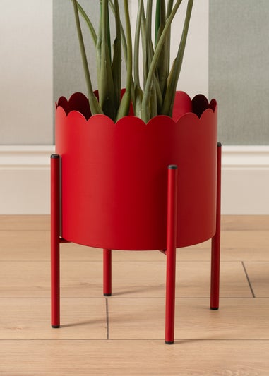 Scottish Everlastings Red Scallop Planter