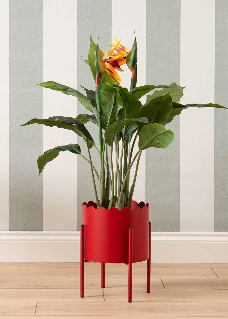 Scottish Everlastings Red Scallop Planter