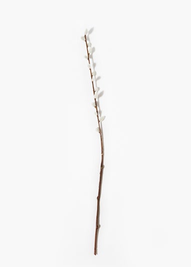Single Pussy Willow Stem (65cm)