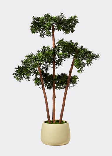 Layered Tree in Cement Pot (65cm x 60cm x 120cm)