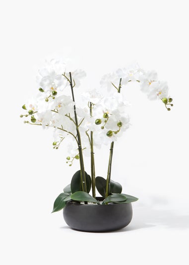 Large Orchid in Round Black Pot (58cm)