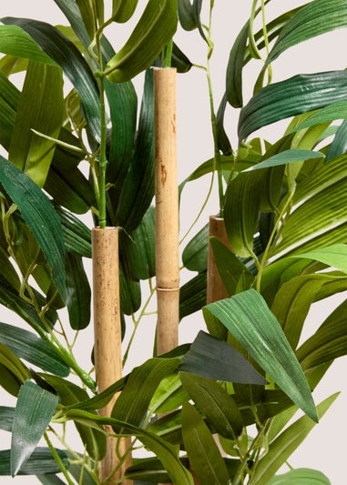 Bamboo Tree