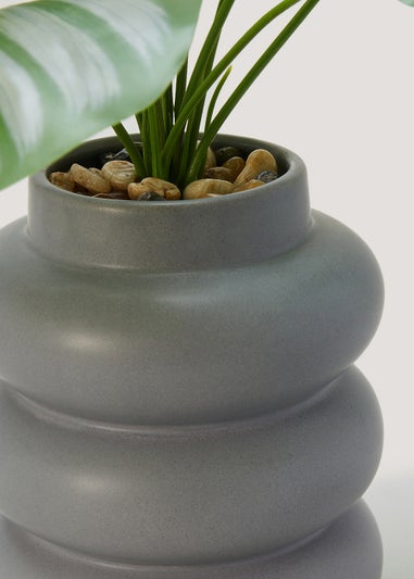 Grey Ribbed Potted Plant (49cm)