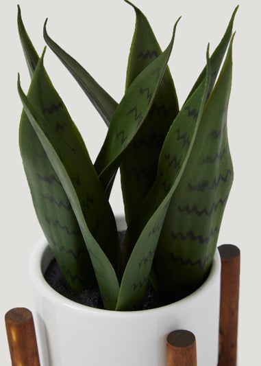 Sansevieria Plant in White Pot With Stand (11.5cm)