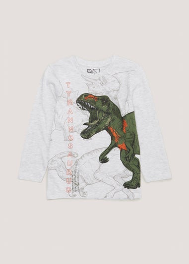 Kids Grey Dinosaur Long Sleeve T-Shirt (4-13yrs)